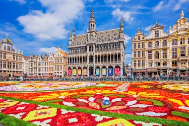 Central Brussels sightseeing tour with audio guide